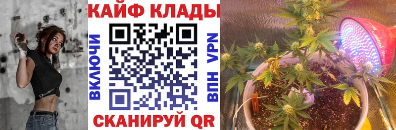 Где продают наркотики Макушино Alpha PVP  ГЕРОИН  КОКАИН  МЕФ 