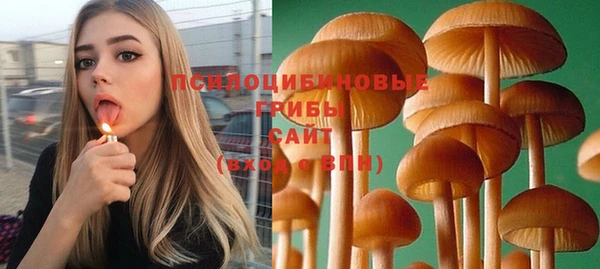 spice Алзамай