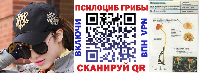 сколько стоит  Макушино  Галлюциногенные грибы Psilocybe 